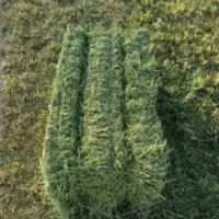 یونجه درجه یک پرس