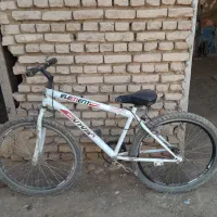 دوچرخه ۲۴ درحد