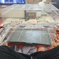 قفس 60 سانتی