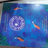 لباس مجلسی|لباس|ازنا, |دیوار