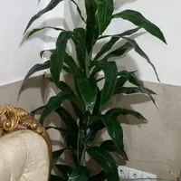 درختچه مصنوعی
