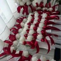 گیفت قرمزلاله