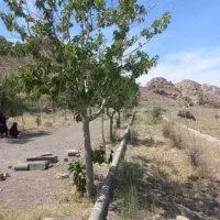 زمین-باموقعیت-عالی-حاشیه-جاده-سنگ-سفید