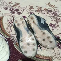 کفش چمن|کیف، کفش، کمربند|تربت جام, پاسداران|دیوار