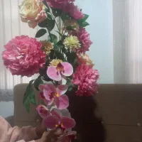 گل کنار سالنی