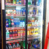 یخچال ویترینی الکترواستیل2در