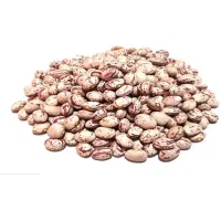 فروش کلی و جزئی لوبیا چیتی بومی/ایرانی