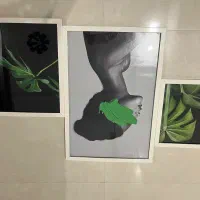 تابلو پازلی سه تایی|تابلو، نقاشی، عکس|مشهد, امیریه|دیوار