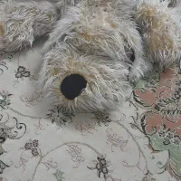 عروسک پشمالو|اسباب‌‌بازی|اسلام‌شهر, مظفریه|دیوار