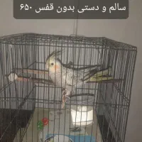 حراج لوازم خانه