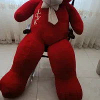 خرس قرمز دومتر