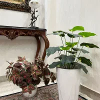 گل و گیاه مصنوعی خارجی
