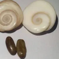 مهره اصل|بدلیجات|اهواز, کوروش|دیوار