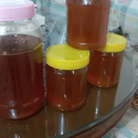 عسل آذربایجان|خوردنی و آشامیدنی|تهران, کرمان|دیوار