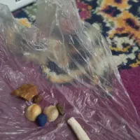 ارزش دار|بدلیجات|ایذه, |دیوار