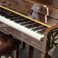 آموزش پیانو و سلفژ از مقدماتی تا پیشرفته