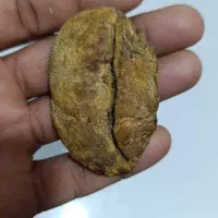 کتب فال|کتاب و مجله مذهبی|سوسنگرد, |دیوار