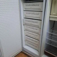 یخچال دقلو پارس