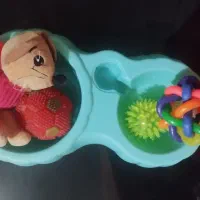 توله سگ|سگ|قدس, شهرک دانش|دیوار