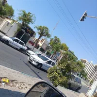 برش هرنوع درخت وخرید چوب  آن باقیمت مناسب