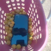 تعدادی لوازم خانه بصورت رایگان