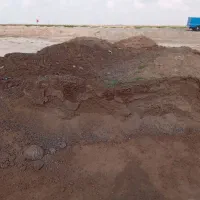 کودحیوانی تمیز