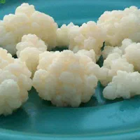 قارچ و دوغ کفیر|خوردنی و آشامیدنی|مشهد, گلبرگ شمالی|دیوار