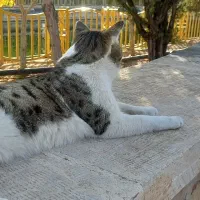 500 هزار تومان بگیر