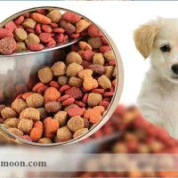 انواع غذای بهداشتی مخصوص حیوانات خانگی