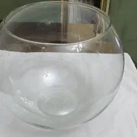 آکواریوم. تنگ ماهی بزرگ