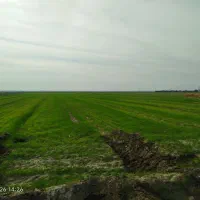 اجااره زمین کشاورزی