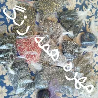 مهره های رنگی سایز کوچیک