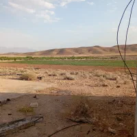 اجاره-زمین-کشاورزی-8هکتار