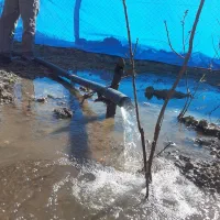 چاه کن چاه کنی مغنی