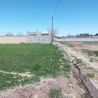 زمین زراعی ۵۰۰ متری سند دار بلوار پاسداران ۱۲|فروش زمین و ملک کلنگی|گناباد, |دیوار