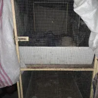 قفس مرغ وخروس تمیز ۴عدد