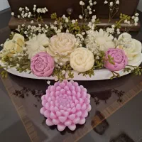 هدیه زیبای گل های جاودان