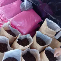 پخش قهوه|خوردنی و آشامیدنی|نیشابور, هفده شهریور|دیوار