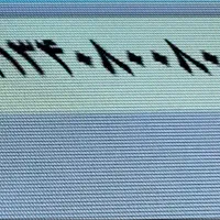 فروش سیم کارت رند