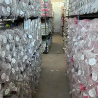 مستقیم از وارد کننده کاغذدیواری خرید کنید