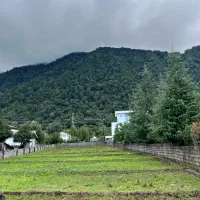 زمین231متریVIP مناسب سرمایهگذاری سندتک برگ تنکابن|فروش زمین و ملک کلنگی|خرمآباد (تنکابن), |دیوار