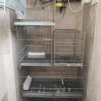 قفس پرنده سهره