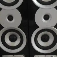 اسپیکر فلشخور