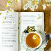 مدرس زبان انگلیسی