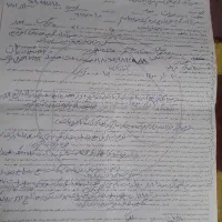 زمین چسبیده به بافت