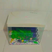 آکواریوم