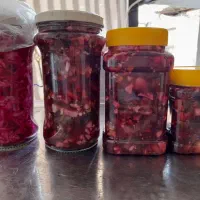 ترشی و خیار شور فله اکبری|خوردنی و آشامیدنی|پایین هولار, |دیوار