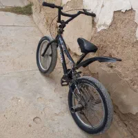 دوچرخه حرفه ای