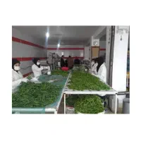 جذب نیروی خانم در مغازه سبزی خرد کنی