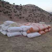 فروش علف(سوزه)